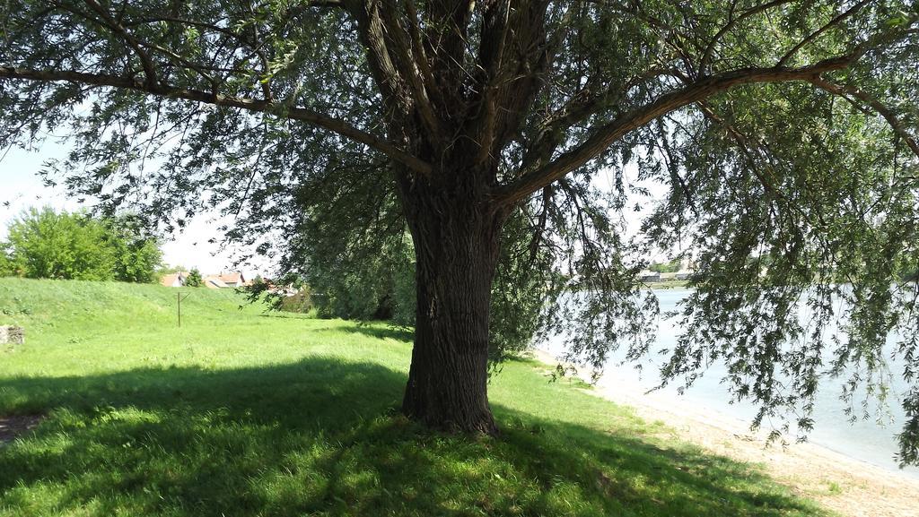 By The River Apartment Osijek